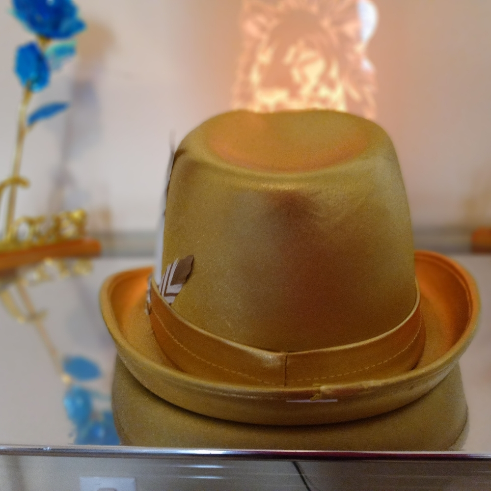 Fedoras - Picture 3 of 6